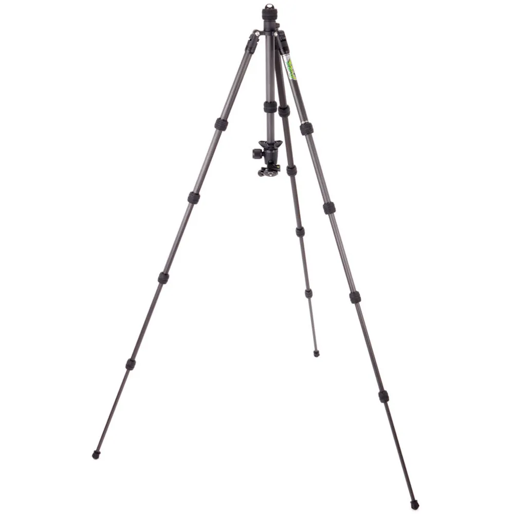 3 Legged Thing Punks Brian 2.0 Carbon Fiber Tripod with AirHed Neo 2.0 Ball Head