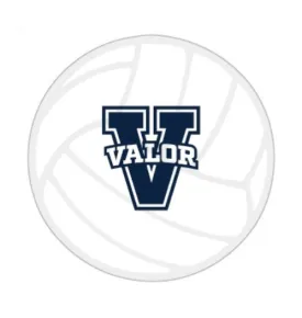 4" Valor Foam Volleyball
