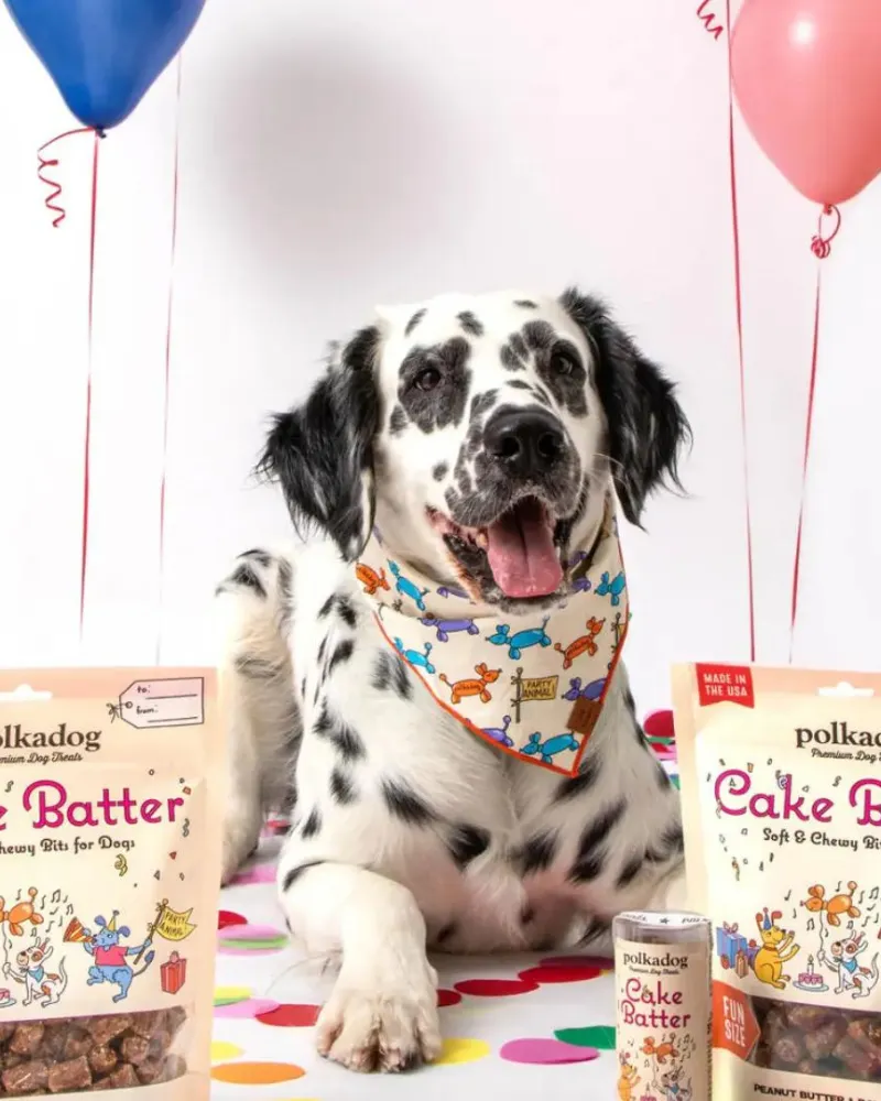 Cake Batter PB & Banana Soft Dog Treats