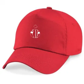 Ceffyl Racing Horse Racing Cap Mini Silks