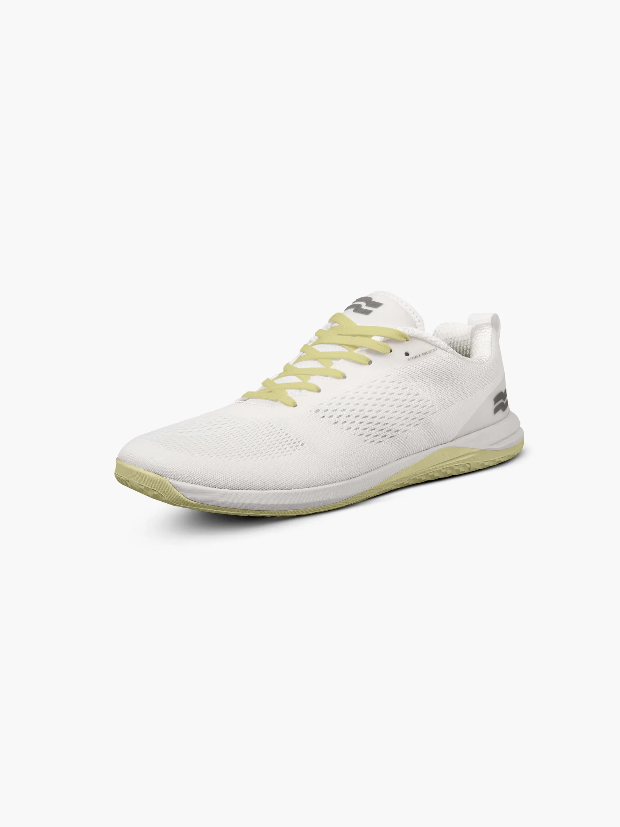Haze Trainer