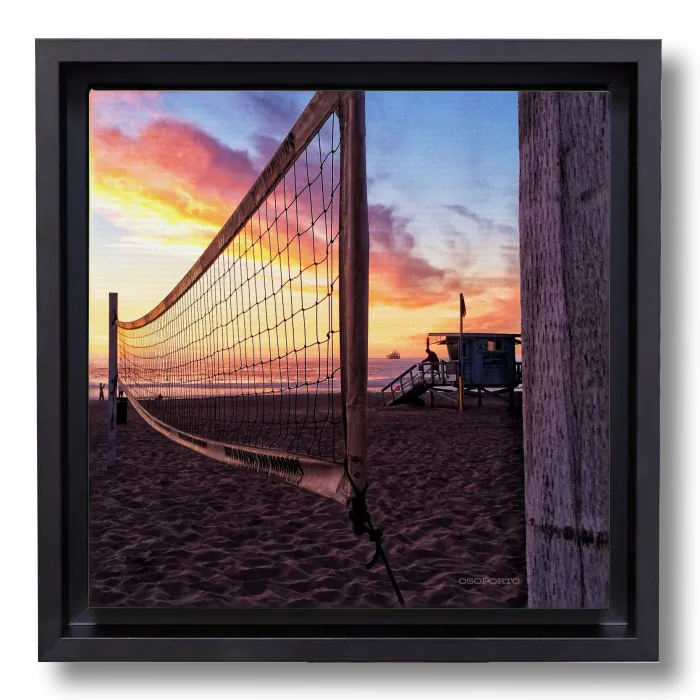 Net Gain canvasbox